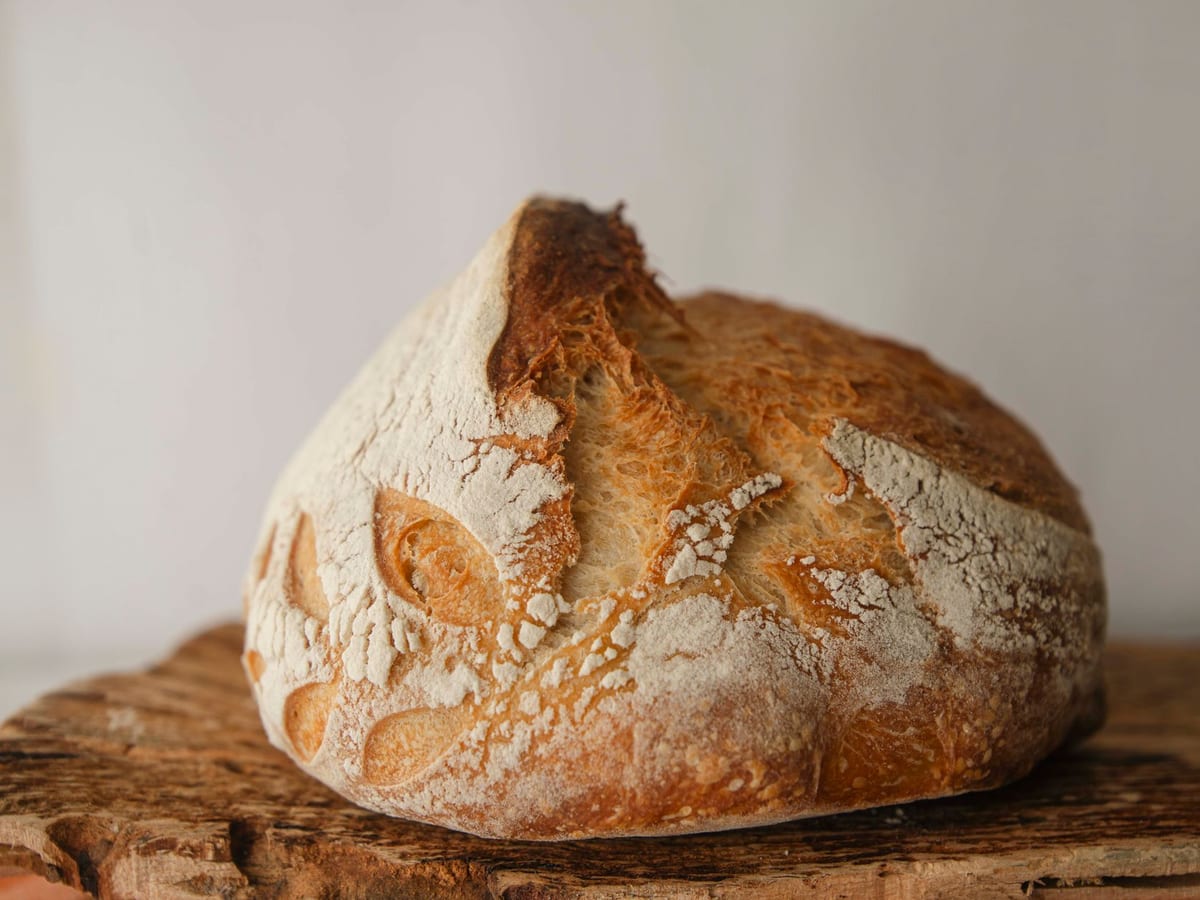Masa Madre Deshidratada